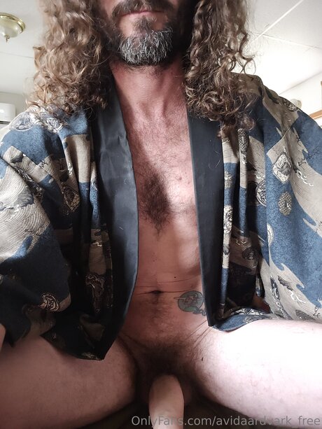 Avidaardvark Free art star pictures