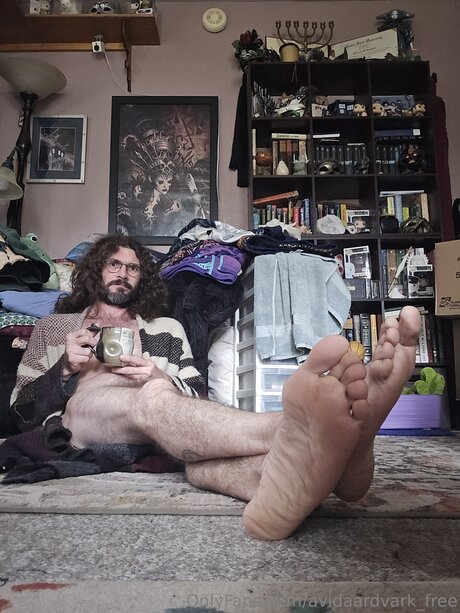 Avidaardvark Free hd star gallery