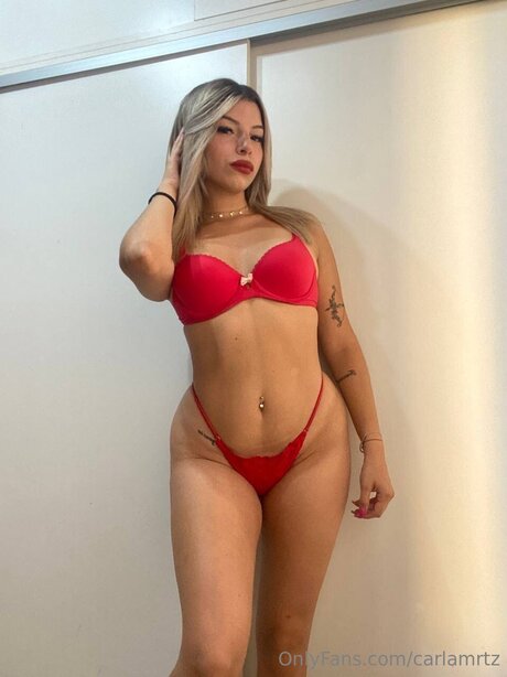 Carlamrtz model top images