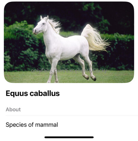 Excellentlylucky model beautiful pics