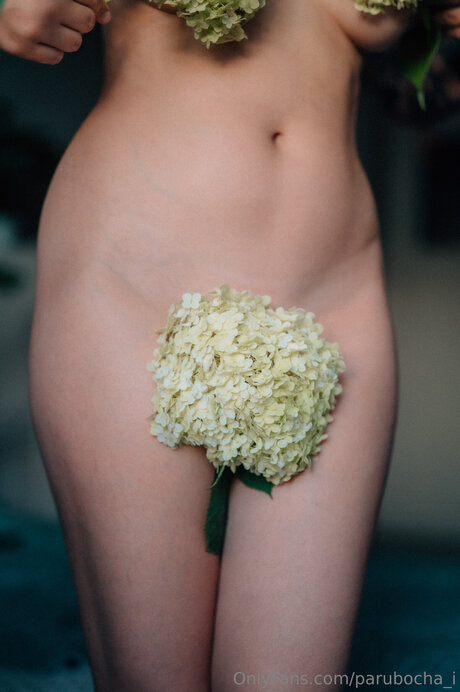 hairy armpits onlyfans pornographic galleries