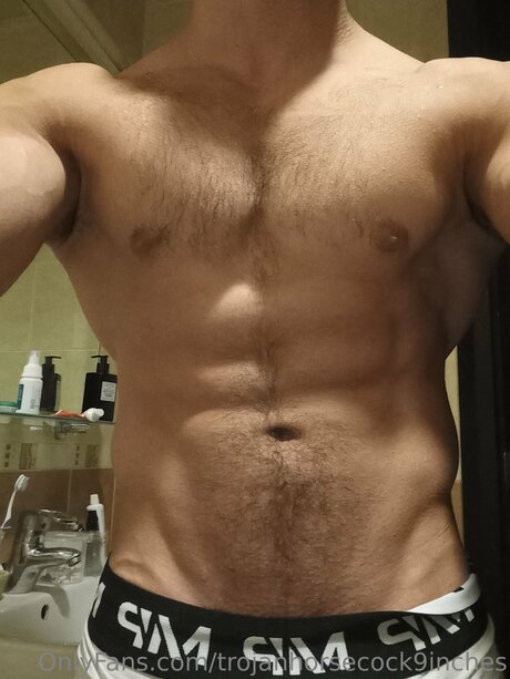 Trojanhorsecock9inches model art archive