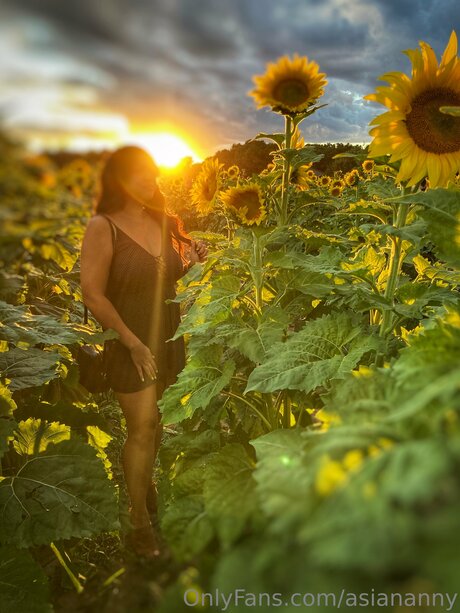 Asiananny high quality star picture