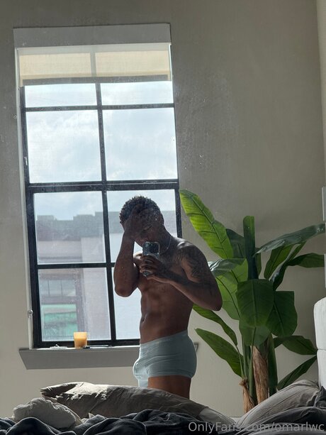 Omarlwc art star picture