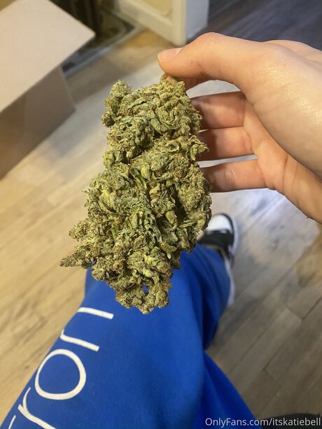 Itskatiebell model nudes pictures