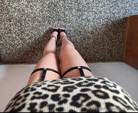 Parditax perfect model galleries