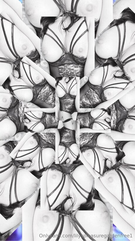 Lilyspleasuregardenfree1 star free pics