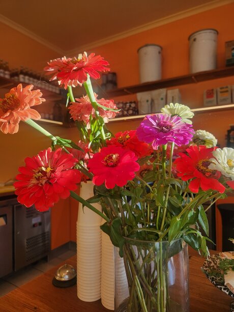 Helloeloise best star pics