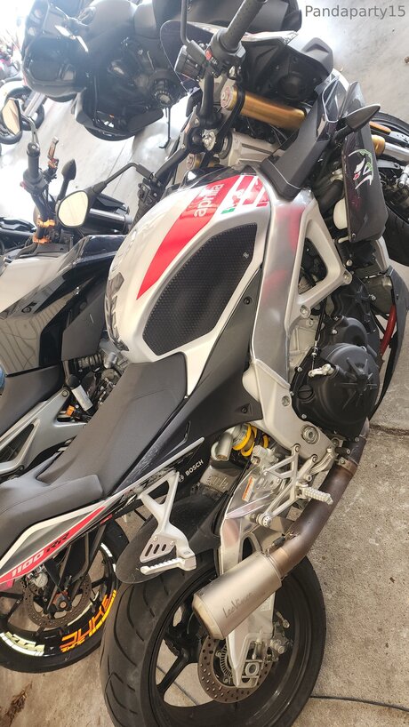 Pandaparty15 star beautiful gallery