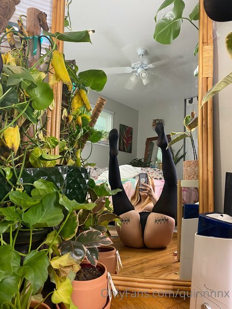 Quinnnnx high quality pornstar gallery