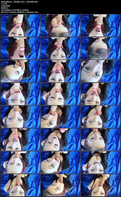 Katception porn star images