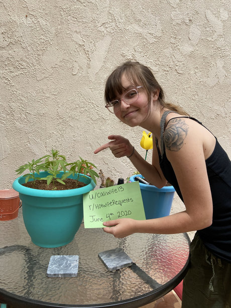 Caliwife13 pornstar sexy gallery