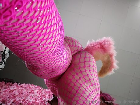 Egirltiddytalk hd pornstar images