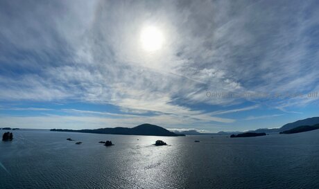 Stay At Home Dilf pornstar top photos