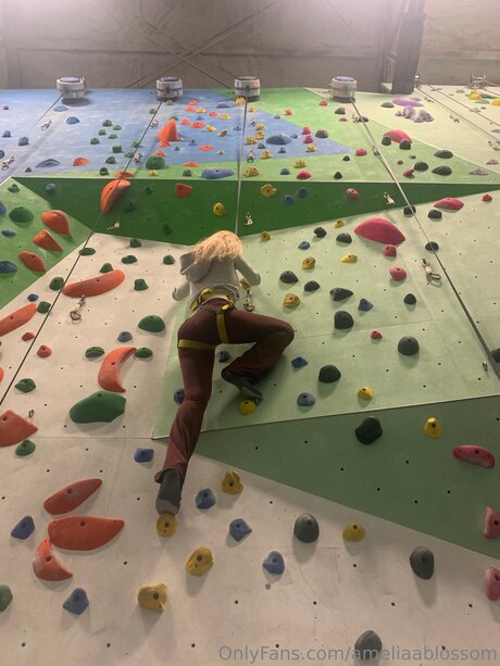 Ameliaablossom art star galleries