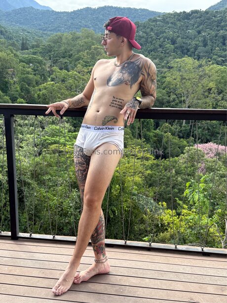 Maxy3ink perfect star pictures