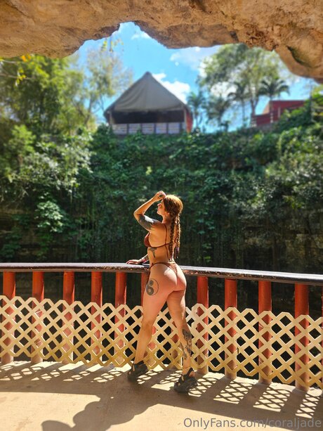 Coraljade star free archive