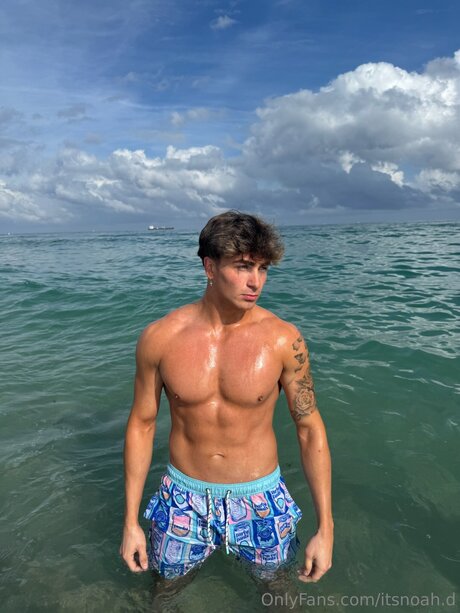 big dick onlyfans adult img