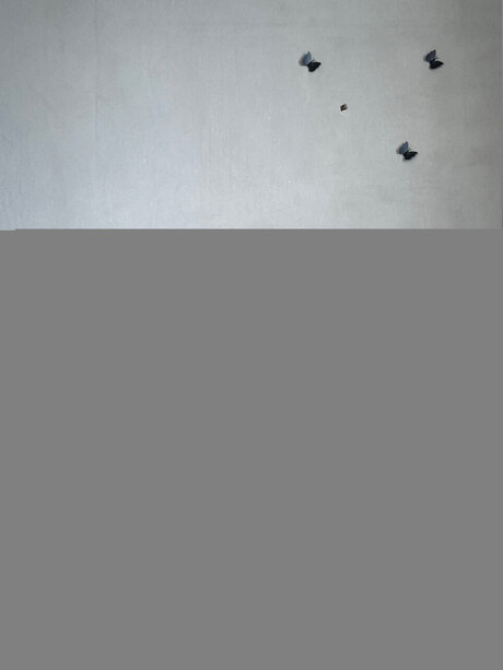 Olivi Star naked star galleries