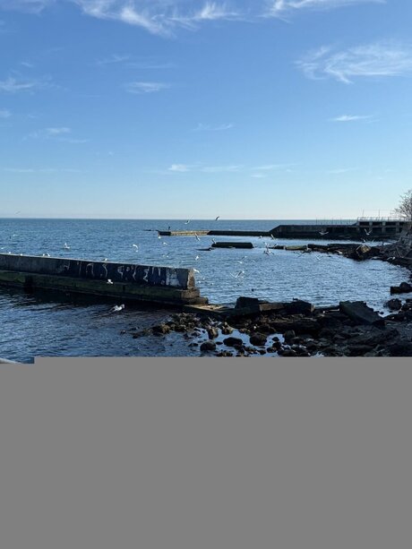 Olivi Star star nude images