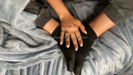 Tatumrosefree pretty pornstar image