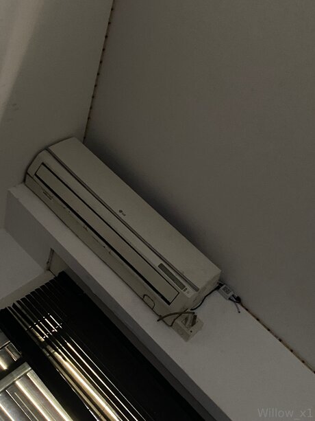 Rdk Willow pornstar free pic