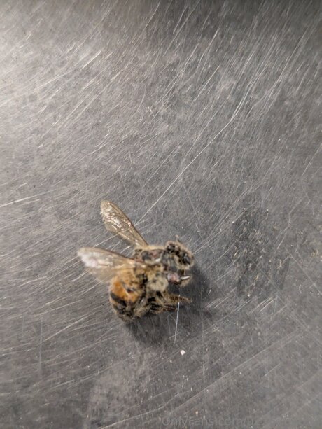 creamy onlyfans sexy nude pics