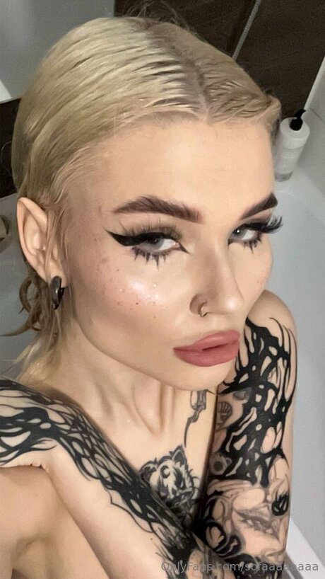 Sofaaaaaaaaaa high quality star pics