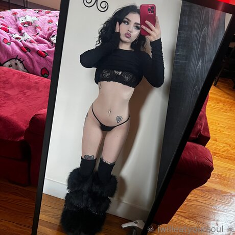 Iwilleatyoursoul model top img