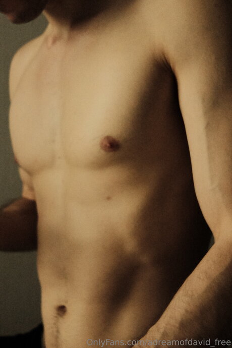 Adreamofdavid Free pretty pornstar pics