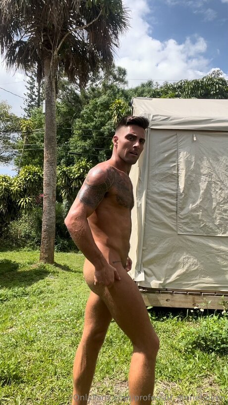 Professor Stonehaven porn actress photos