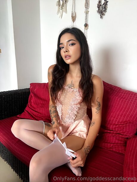 Goddesscandacexo exclusive star pics