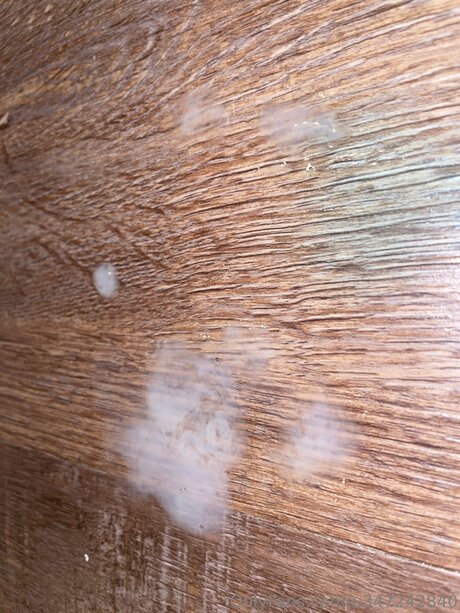 U347242840 xxx model images