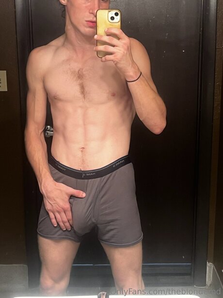 Theblonderod pornstar art pics