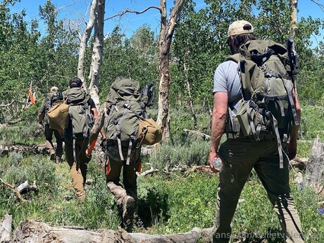 Bulletvalentina best star gallery