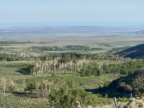 Bulletvalentina model erotic images