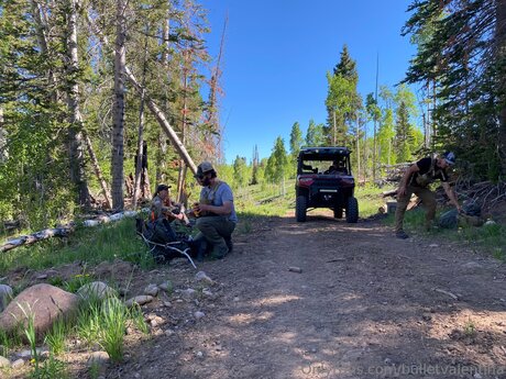 Bulletvalentina pretty star image