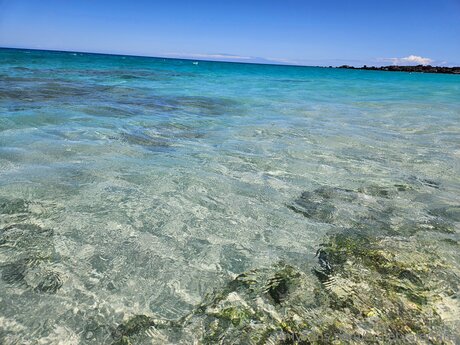 Bulletvalentina perfect actress galleries