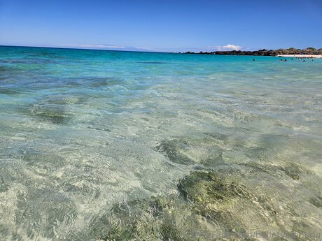 Bulletvalentina star adult photos