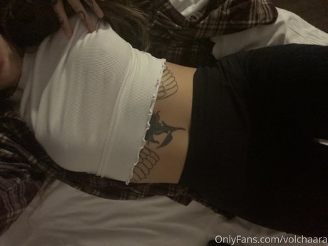 _volchara star best gallery