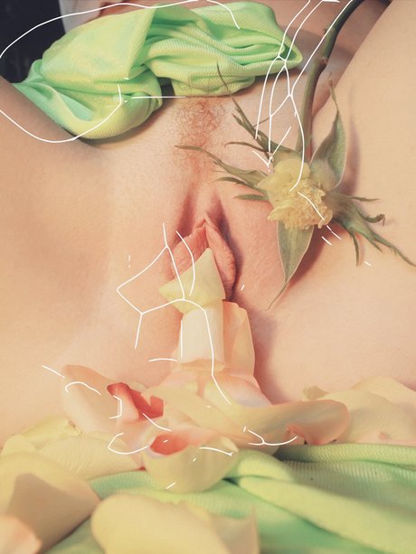 Valerie Zsvej pornstar naked pics