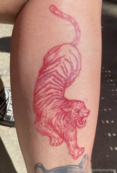 Ashleymarieeg perfect pornstar galleries