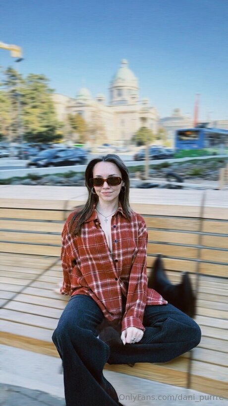 Dani Purrre star adult picture