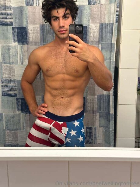 Beefwellingtonfree adult actress image