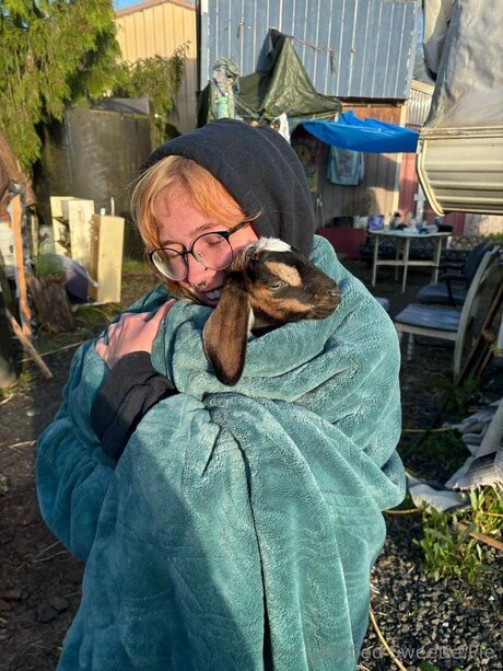 Certifiedsweetiepie pornstar perfect picture