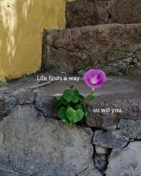 Gnarlymarbles pornstar nude pictures