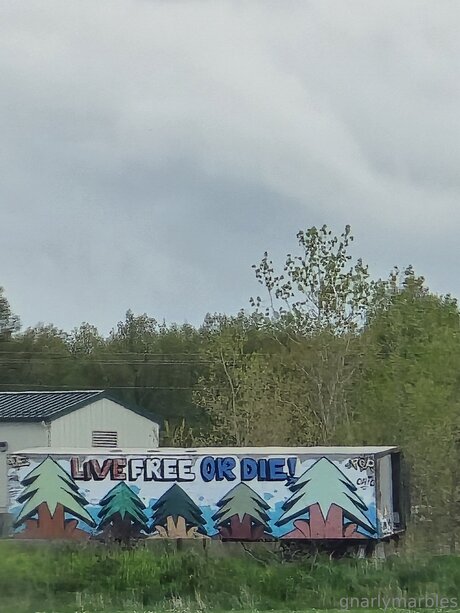 Gnarlymarbles best star pics