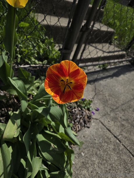 Gnarlymarbles model pretty archive