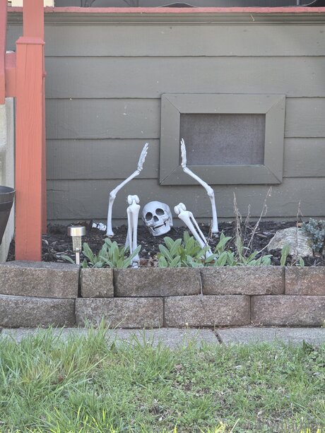 Gnarlymarbles beautiful pornstar photos