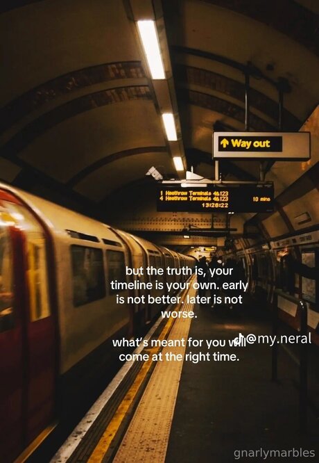 Gnarlymarbles star free gallery